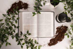 Biblia, štúdium, čítanie