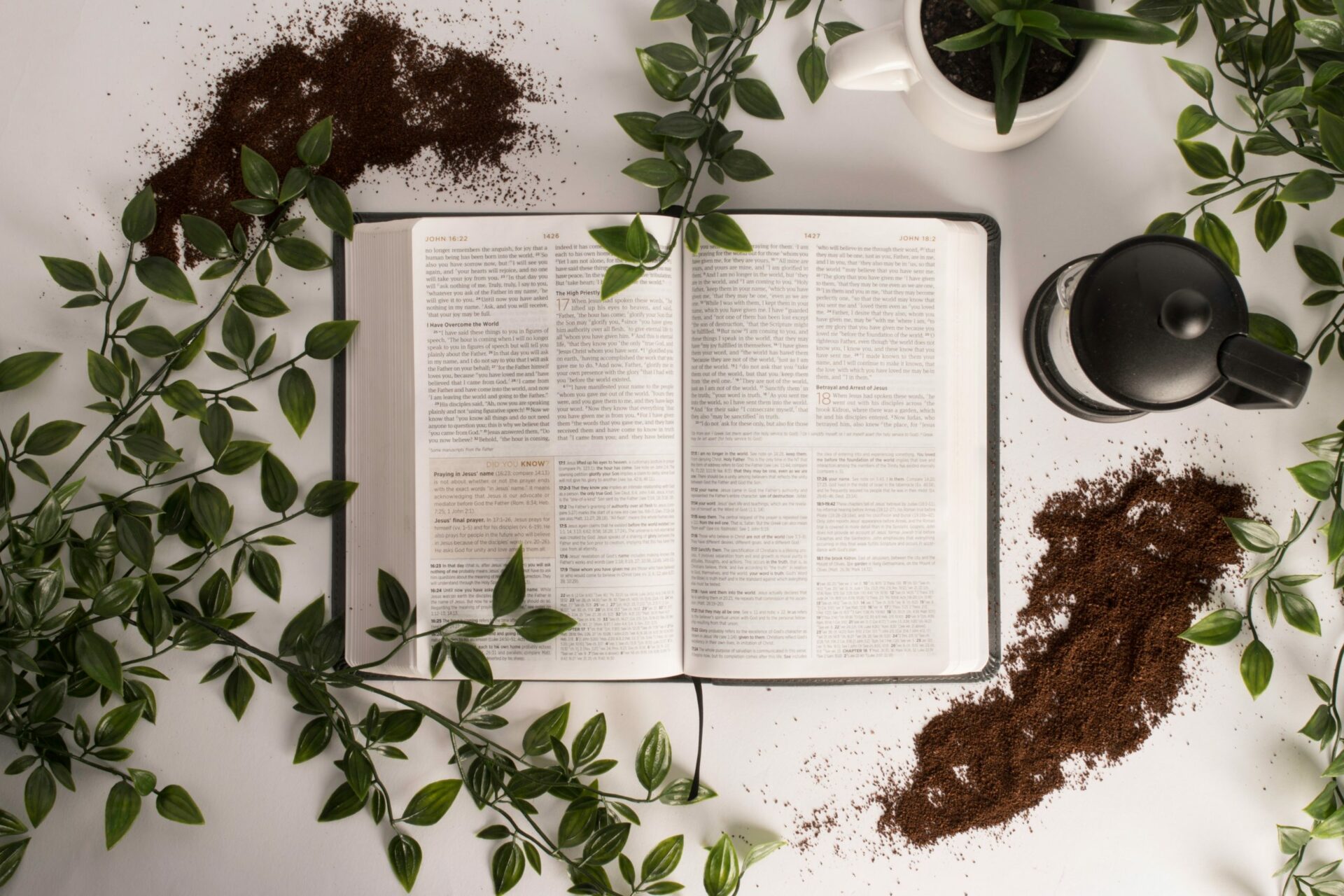 Biblia, štúdium, čítanie