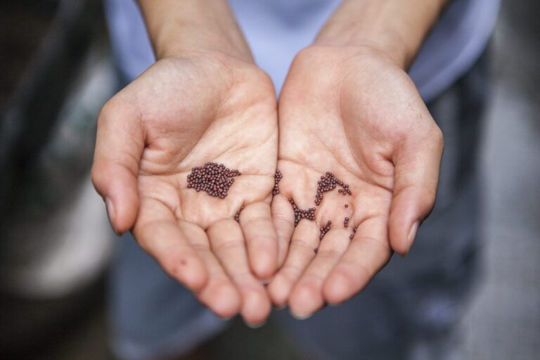 joshua-lanzarini-Vct0oBHNmv4-unsplash