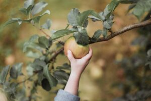 bethany-ballantyne-shcpJPTsG_I-unsplash
