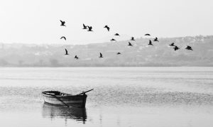 esteban-amaro-hy8y0Wp_Lp0-unsplash (1)