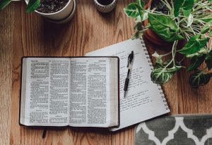 rachel-strong-VhcxuEGNXo4-unsplash (1)