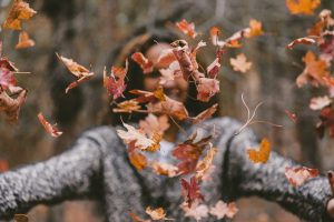 jakob-owens-uE_N2i6-TRM-unsplash (1)