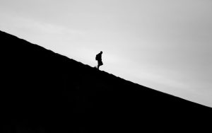stephen-leonardi-OQd5nbI6ku0-unsplash