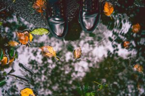 eilis-garvey-fdh83mlMlCM-unsplash