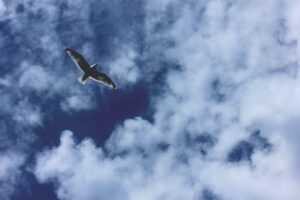 stefan-gessert-g11cg-EL8Eg-unsplash