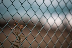 omar-ram-UCcLy-55Ji0-unsplash