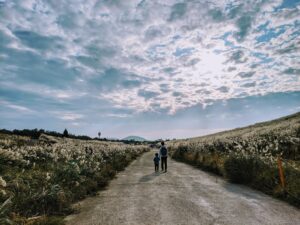 ben-kim-cEf1B_p6A_o-unsplash
